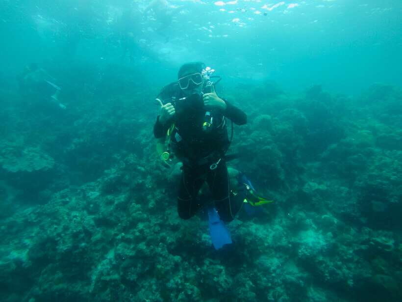 Cebu: Moalboal Scuba Diving with Sardines and Turtle Snorkel - Logistics and Value: What $115 Actually Buys
