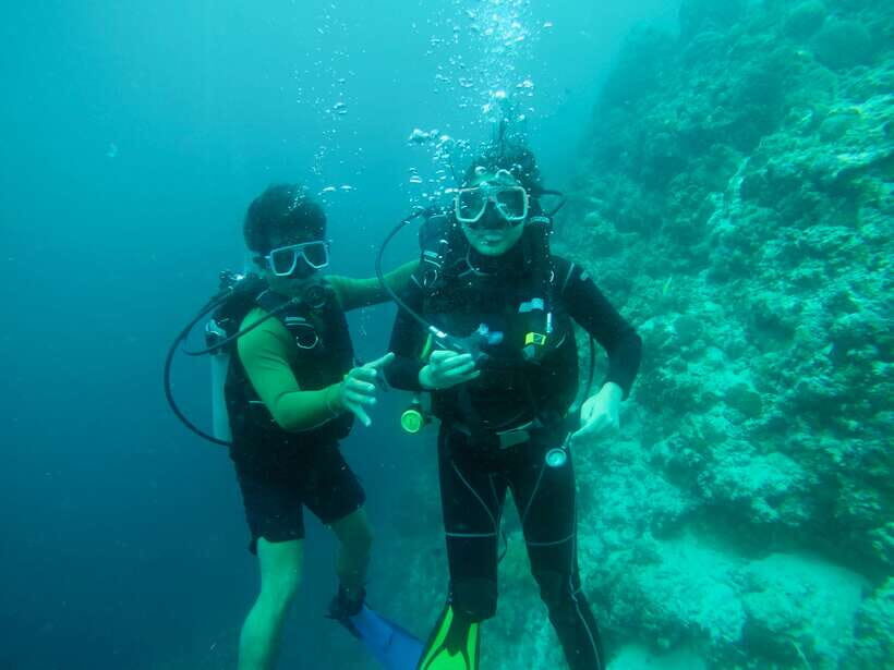 Cebu: Moalboal Scuba Diving with Sardines and Turtle Snorkel - The 11-Hour Flow: What the Day Feels Like