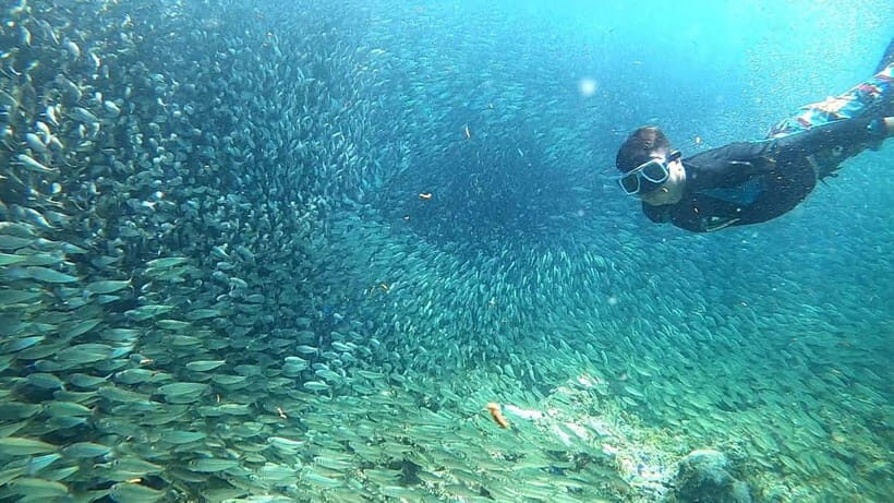 Cebu: Moalboal Snorkeling, Mantayupan Falls & ATV Adventure - Timing, Pickup/Drop-Off, and Why Logistics Matter