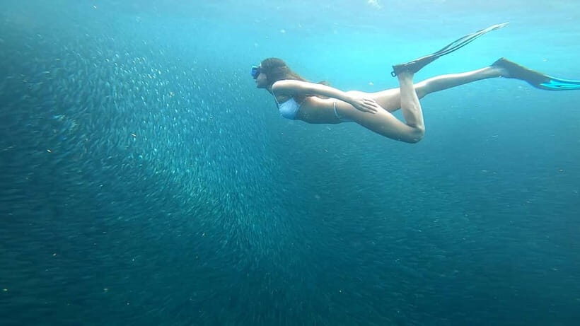 Cebu: Moalboal Snorkeling, Mantayupan Falls & ATV Adventure - What’s Included, What’s Not, and What to Pack