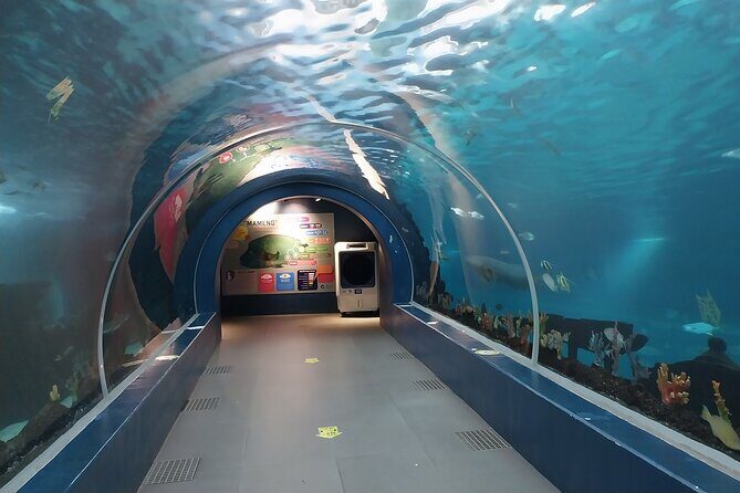 Cebu Ocean Park - Key highlights at Cebu Ocean Park