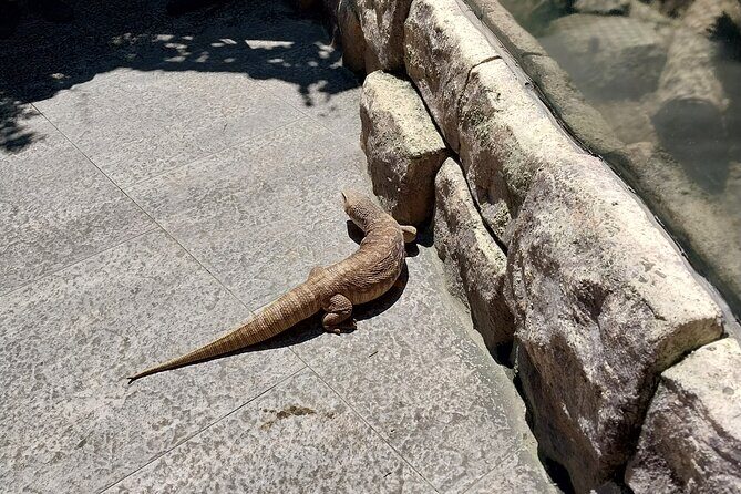 Cebu Ocean Park - Do you need a tour guide upgrade?