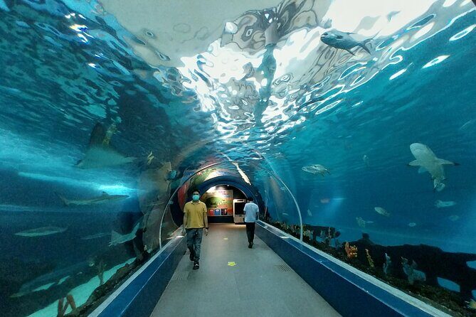 Cebu Ocean Park - The aquarium tunnel: where the visit feels most special