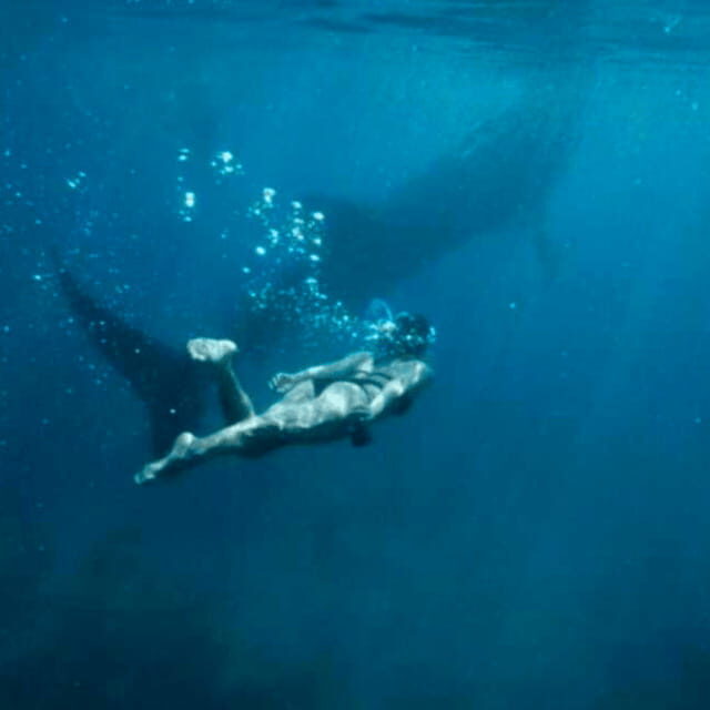 Cebu: Oslob Whale Shark, Sumilon, Ruins, Simala Church - Oslob whale shark swim and watching: the main event