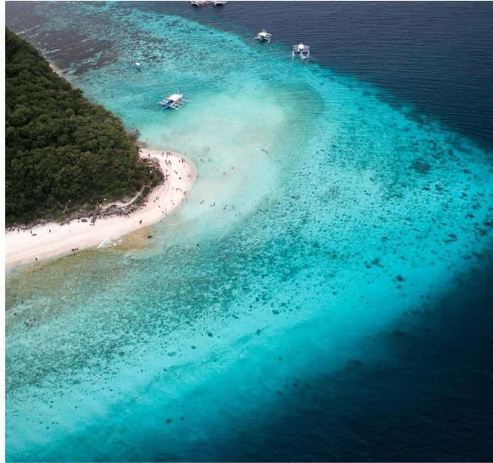Cebu: Oslob Whale Shark Swim and Sumilon Island Day Tour - Oslob Whale Shark Swim: What to Expect in the Water