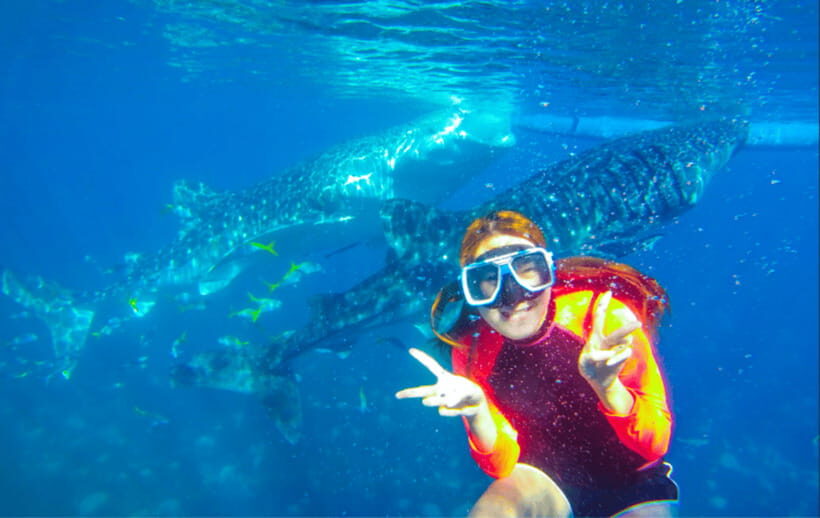Cebu: Oslob Whale Shark Swimming and Tumalog Falls Tour - Tumalog Falls: a quick guided nature break
