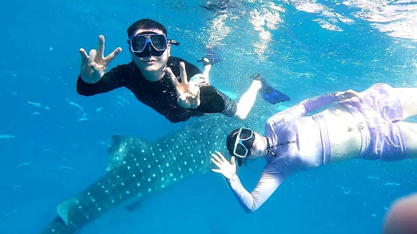 Cebu Oslob: Whale Shark Watching Experience - Boat ride and the whale shark swim: how the 30–45 minutes usually feels