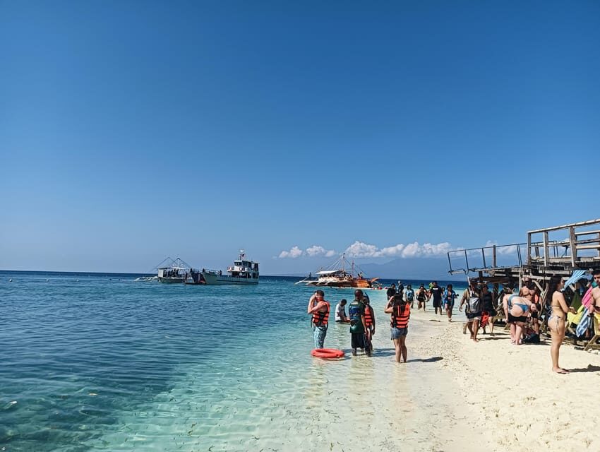 Cebu: Oslob Whale Sharks, Tumalog Falls & Sardine Snorkeling - Moalboal sardine run and sea turtles: the underwater show
