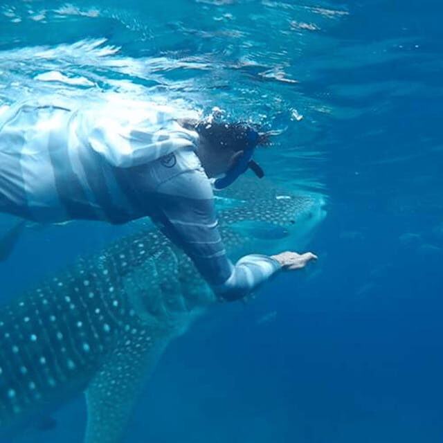 Cebu: Oslob Whaleshark Experience Shared Tour - Price and Value: Why $76 Works (and Where You Avoid Extra Costs)