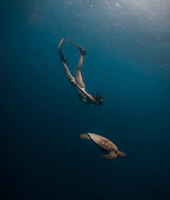 Cebu Oslob Whaleshark, Moalboal Sardines Run&Inambakan Falls - Who should book this Cebu day tour?
