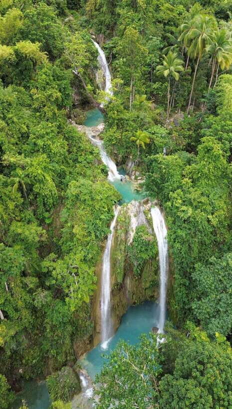 Cebu Oslob Whaleshark, Moalboal Sardines Run&Inambakan Falls - Price and what $108 buys you in real life
