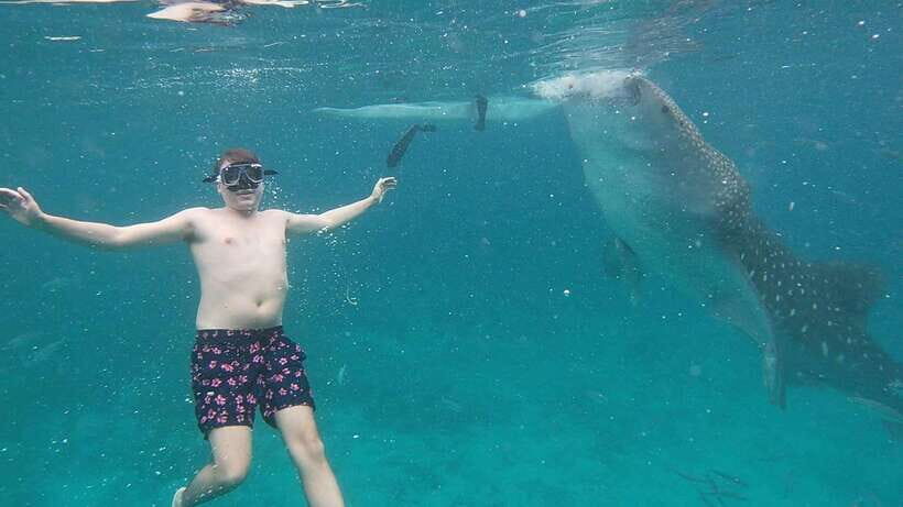 Cebu: Oslob Whaleshark & Sardines Run Snorkeling Day Tour - When This Tour Makes Sense (and When It Doesn’t)