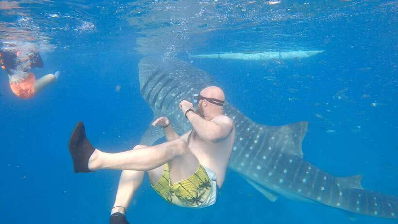 Cebu: Oslob Whaleshark & Sardines Run Snorkeling Day Tour - Oslob Whale Shark Snorkeling: Clear Water and the Ethics You Should Face