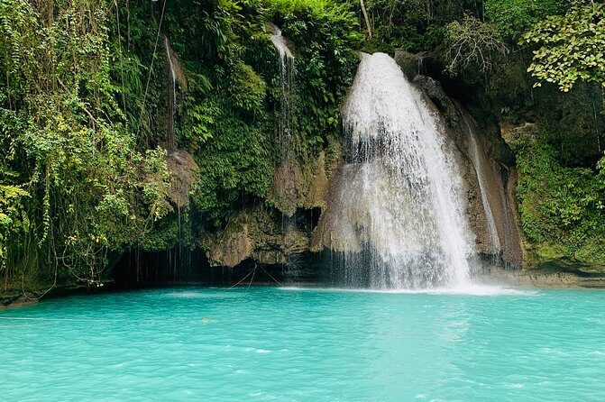 Cebu Oslob Whalesharks, Sumilon & Kawasan Waterfalls Tour - Stop 1: Oslob whale-shark snorkeling (the main event)