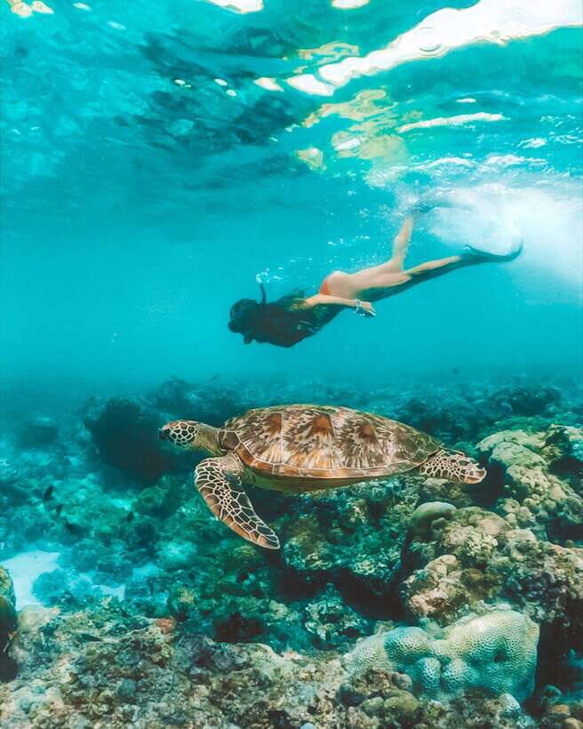Cebu: Osmeña Peak hike and Sardines Run Snorkel adventure - A morning that trades heat for height