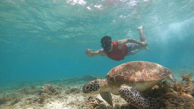 Cebu: Osmeña Peak hike and Sardines Run Snorkel adventure - Snorkel gear, fins, and the photo help you’ll want