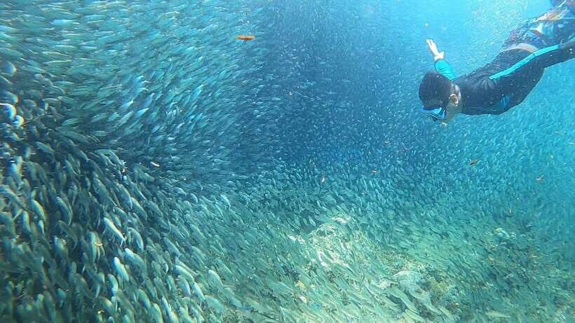 Cebu: Pescador Island, Sardines run and Kawasan Canyoneering - Lunch timing: quick fuel before the second half
