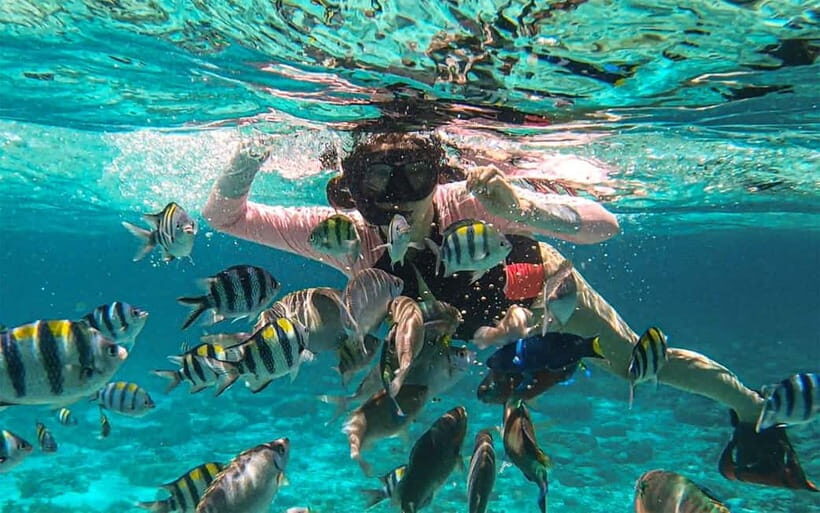 Cebu: Private Mactan Island Hopping Tour with Lunch - Gilutungan Island snorkeling: the marine sanctuary stop