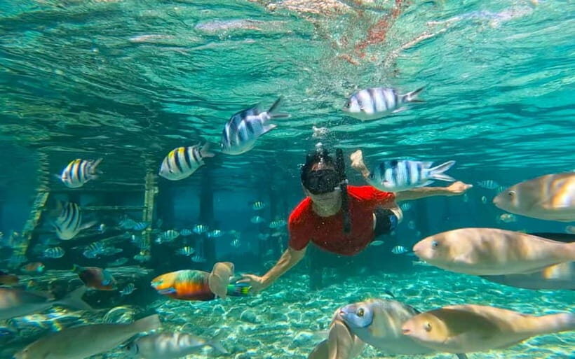 Cebu: Private Mactan Island Hopping Tour with Lunch - Hotel pickup and private boat logistics: fewer headaches, more sea time