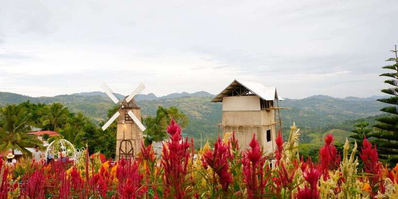 Cebu: Private Panoramic Tour with Dinner - What Makes This Tour Good Value at $100 Per Person