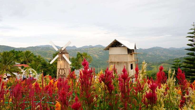 Cebu: Private Panoramic Tour with Dinner - Hotel Pickup, Private Transport, and What to Expect From the Guide