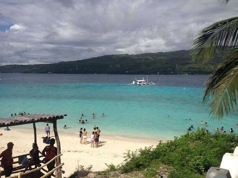 Cebu: Private Sumilon Island & Optional Whale Shark Swim - The Early Route from Cebu: Pickup, Transfer, and Getting to Oslob