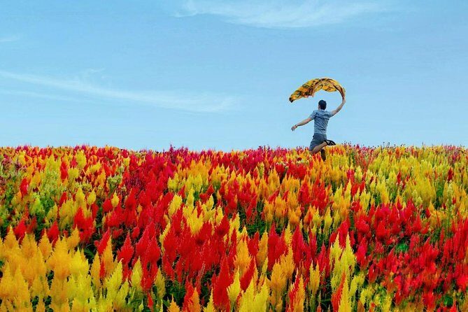 Cebu: Private Twin City Tour +Temple of Leah + Sirao Flower Farm - Hotel pickup, timing, and what to expect from the crew