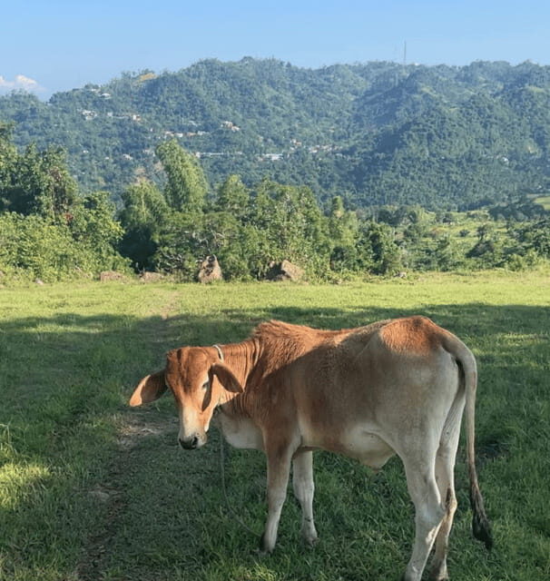 Cebu: Quick Hiking Trip Outside of the Concrete Jungle - What to bring (and what matters most on this hike)