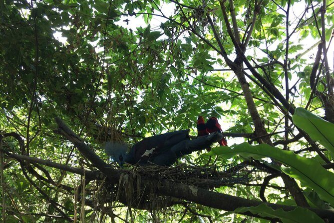 Cebu Safari and Adventure Park - Why this Cebu safari feels like a full day, not a quick stop