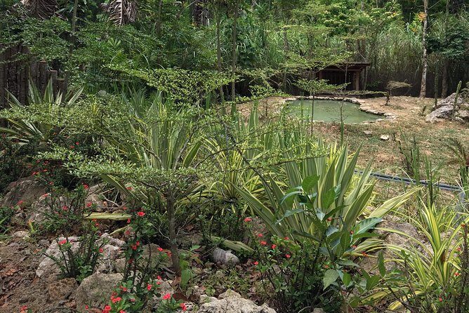 Cebu Safari and Adventure Park - Who should book Cebu Safari and Adventure Park?