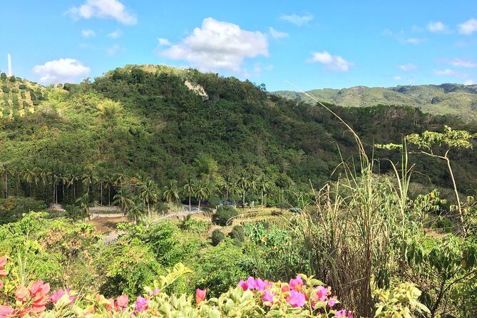 Cebu Safari and Adventure Park - Pickup and the advantage of a private, coordinated day