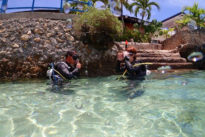Cebu: Scuba Diving Experience beach entry in Mactan - Quick takeaways