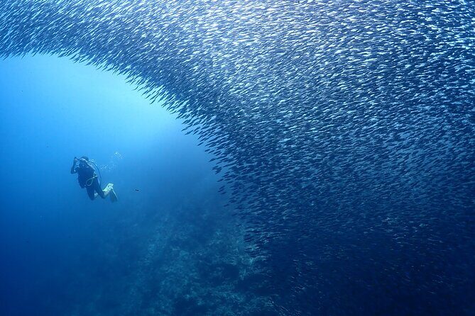Cebu: Scuba Diving Experience beach entry in Mactan - What to bring (and what to skip) for a smoother first time