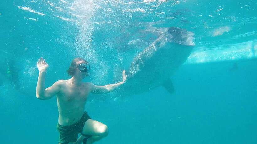 Cebu Shared Tour: Whaleshark Swimming & Kawasan Canyoneering - Price and Value: Is $111 Worth It?