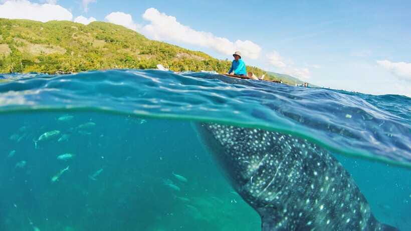 Cebu: Whale Shark Encounter and Kawasan Canyoneering - Lunch prepared by a local family: the value beyond fuel