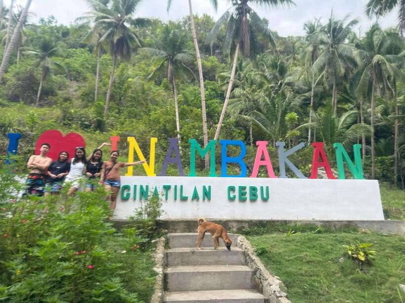 Cebu: Whale Shark, Inambakan Falls & Moalboal Sardine Tour - Oslob whale sharks: safety briefing and what the swim really feels like