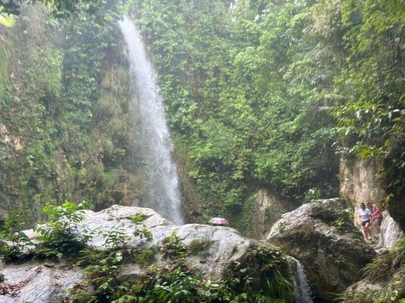 Cebu: Whale Shark, Inambakan Falls & Moalboal Sardine Tour - Inambakan Falls turquoise swim: scenery breaks and possible extra fees