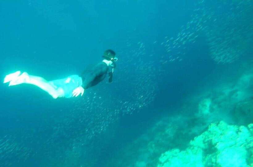 Cebu: Whale Shark, Inambakan Falls & Moalboal Sardine Tour - Guides, gear, and the parts that are actually included