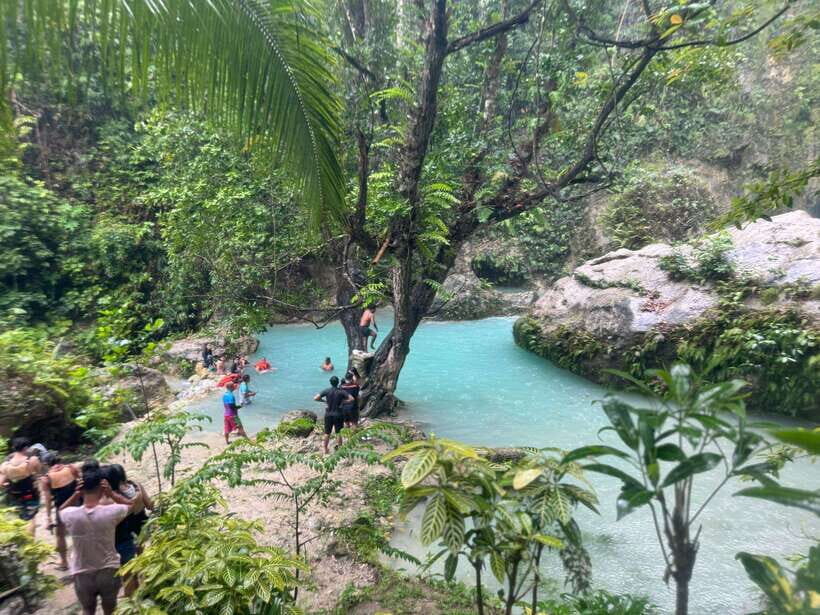 Cebu: Whale Shark, Inambakan Falls & Moalboal Sardine Tour - The road trip between spots: why the timing can feel long