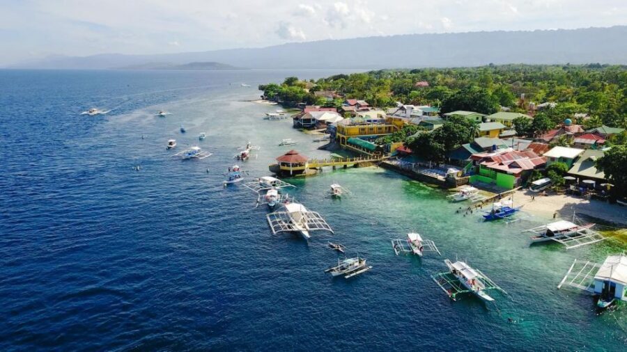 Cebu: Whale Shark, Monkey Sanctuary, & Moalboal Snorkel Tour - GoPro Rental with Photographer: How to Get Real Underwater Photos