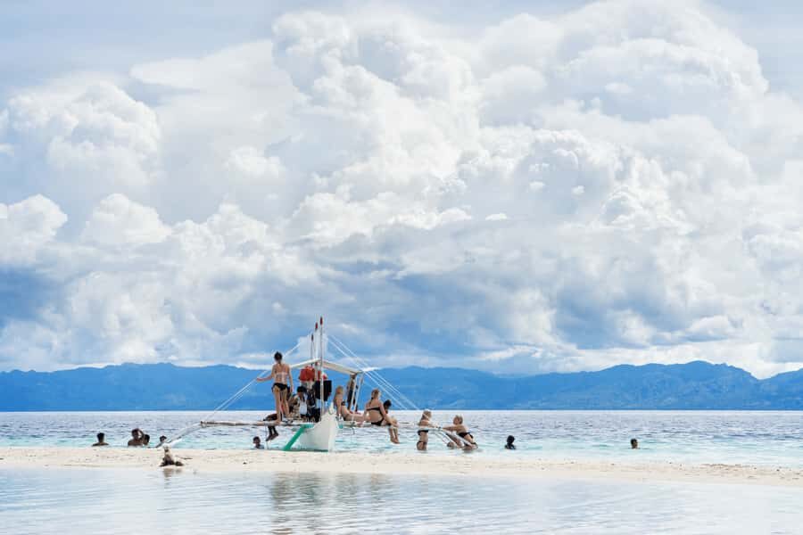 Cebu: Whale Shark, Monkey Sanctuary, & Moalboal Snorkel Tour - Price and Value: Is $117 a Fair Deal for 3 Wildlife Moments?
