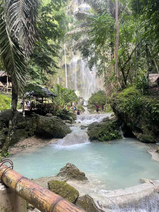 Cebu: Whale Shark, Monkey Sanctuary, & Moalboal Snorkel Tour - Who This One-Day Cebu Tour Fits Best (and Who Should Skip It)