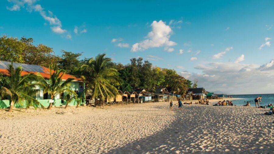 Cebu: Whale Shark, Monkey Sanctuary, & Moalboal Turtles Tour - Who this tour is best for