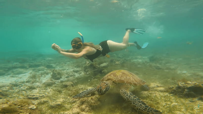 Cebu: Whale Shark Oslob and Moalboal Snorkeling Adventure - The 2 a.m. Cebu pickup to Oslob drive: why it starts so early