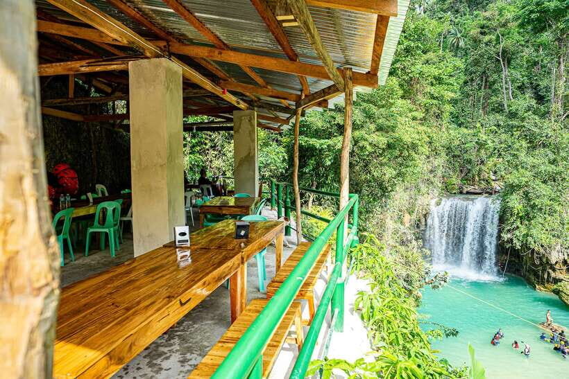 Cebu: Whale Shark Snorkeling & Kawasan Canyoning Tour - Price and Value: Does 147 USD Make Sense?