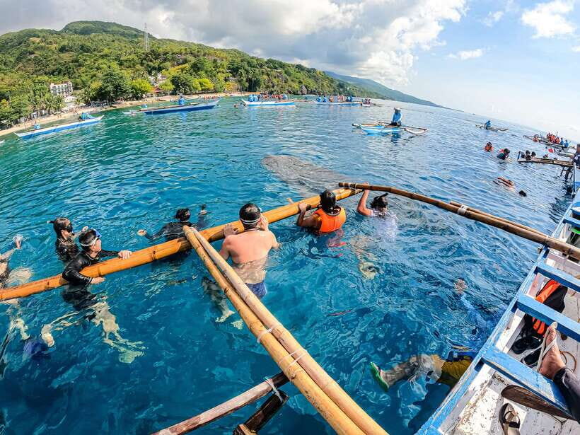 Cebu: Whale Shark Snorkeling & Kawasan Canyoning Tour - Lunch at Kawasan (and Why the Meal Timing Helps)