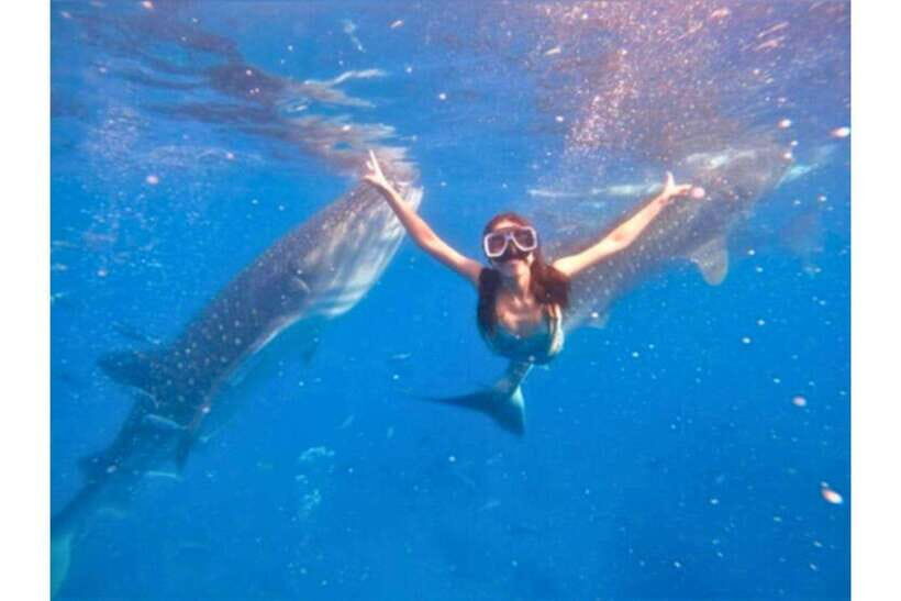 Cebu: Whale Shark Swim and Kawasan Canyoneering Group Tour - My call: should you book the Cebu whale shark and Kawasan canyoneering combo?