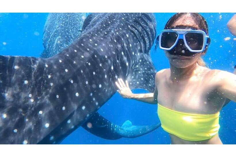 Cebu: Whale Shark Swim and Kawasan Canyoneering Group Tour - Oslob whale shark swim: your time in the water
