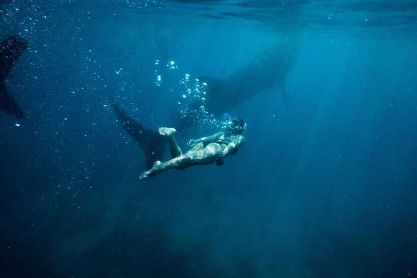 Cebu Whale Shark Swimming & Kawasan Canyoneering Group Tour - Who This Tour Fits Best (And Who Should Skip It)