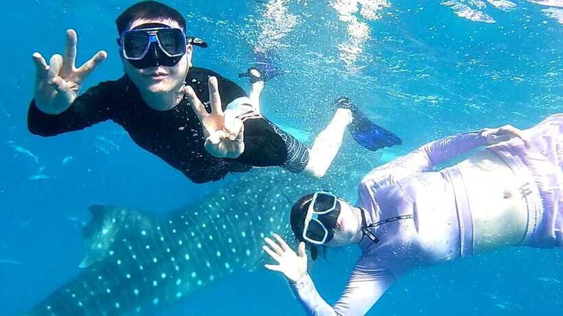 Cebu: Whale Shark, Tumalog Waterfall, and Moalboal Tour - Private group comfort and the value of not feeling rushed